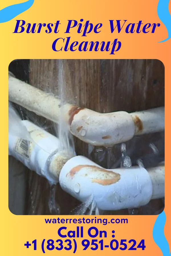 Burst Pipe Water Cleanup in Aurora, IA