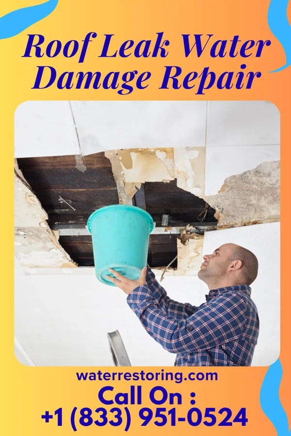 Roof Leak Water Damage Repair in Aurora, IA